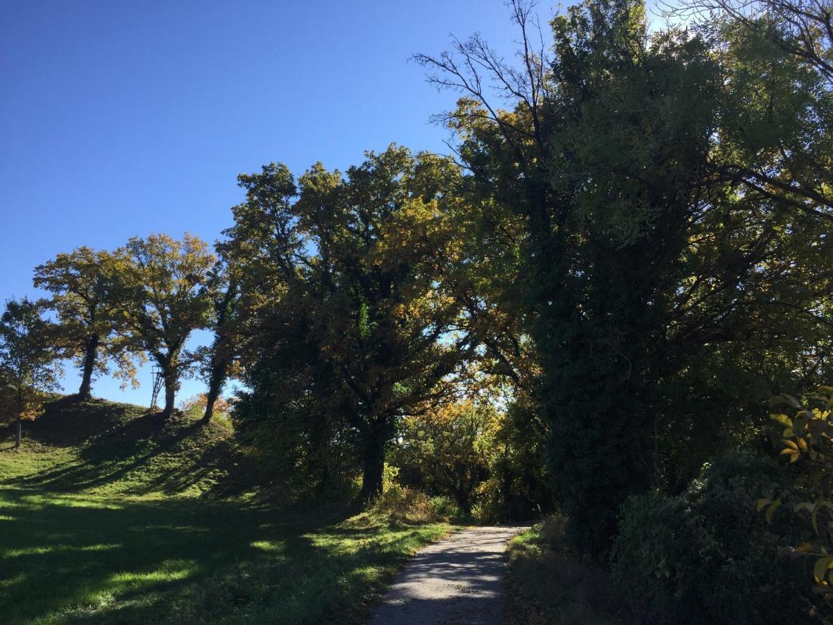 Ferienhaus Andadoana Kelheim Bagian luar foto
