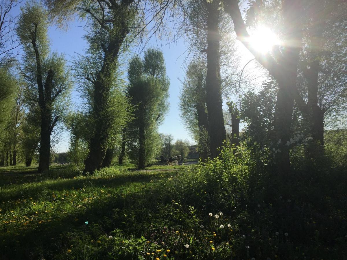 Ferienhaus Andadoana Kelheim Bagian luar foto